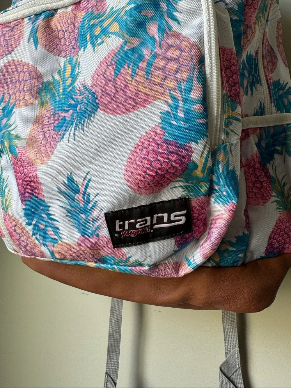 Jansport 18 dakoda